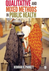 Qualitative and mixed methods in public health